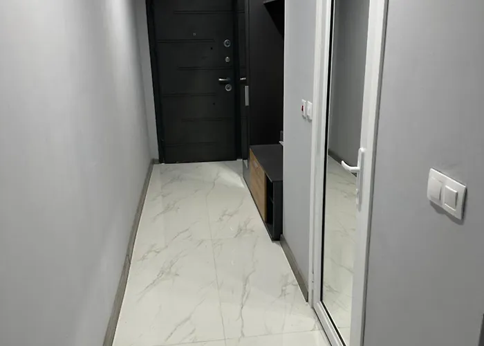 - весела улица